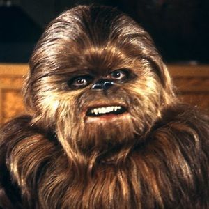 Meet your Posher, Warren